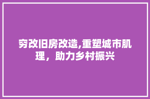 穷改旧房改造,重塑城市肌理，助力乡村振兴