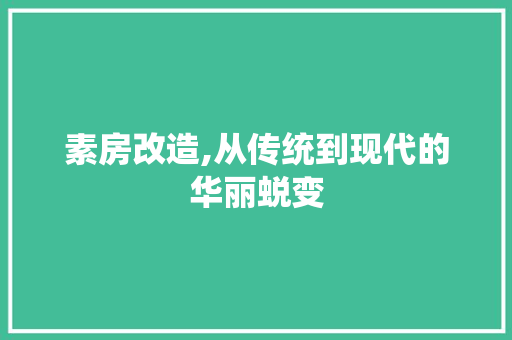 素房改造,从传统到现代的华丽蜕变