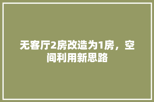 无客厅2房改造为1房，空间利用新思路