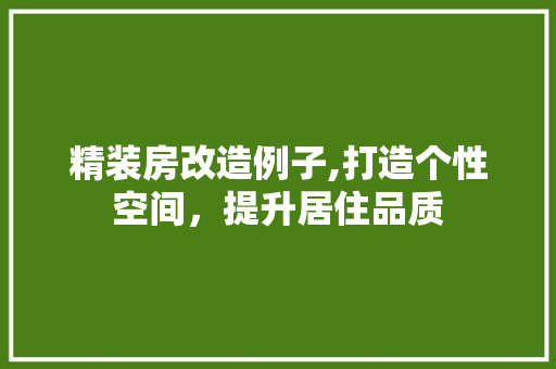 精装房改造例子,打造个性空间，提升居住品质