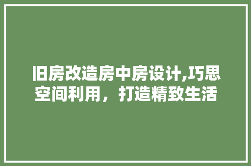 旧房改造房中房设计,巧思空间利用，打造精致生活