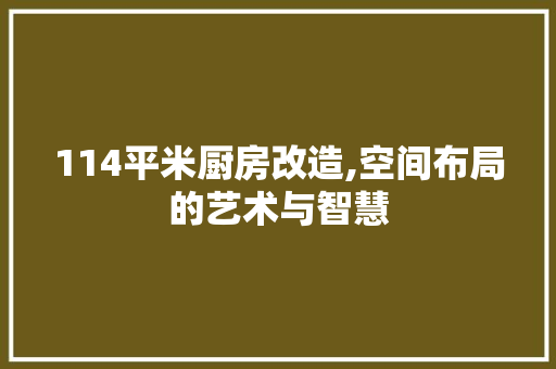 114平米厨房改造,空间布局的艺术与智慧