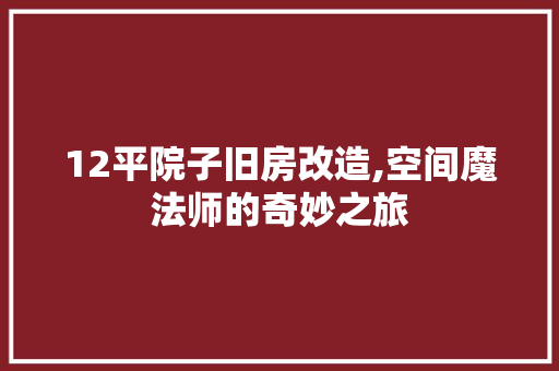 12平院子旧房改造,空间魔法师的奇妙之旅