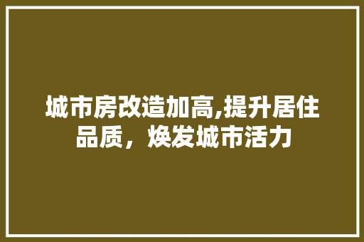 城市房改造加高,提升居住品质，焕发城市活力