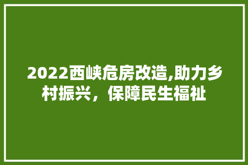 2022西峡危房改造,助力乡村振兴，保障民生福祉