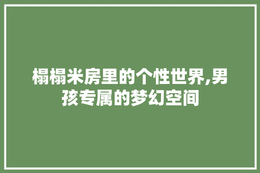 榻榻米房里的个性世界,男孩专属的梦幻空间