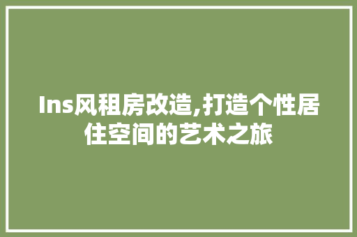 Ins风租房改造,打造个性居住空间的艺术之旅