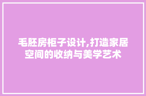 毛胚房柜子设计,打造家居空间的收纳与美学艺术