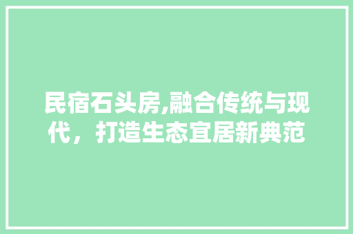 民宿石头房,融合传统与现代，打造生态宜居新典范