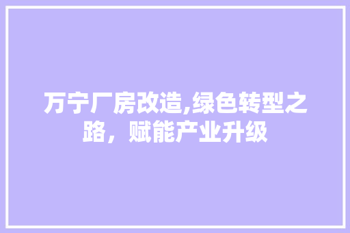 万宁厂房改造,绿色转型之路，赋能产业升级