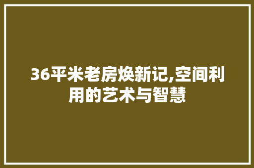 36平米老房焕新记,空间利用的艺术与智慧