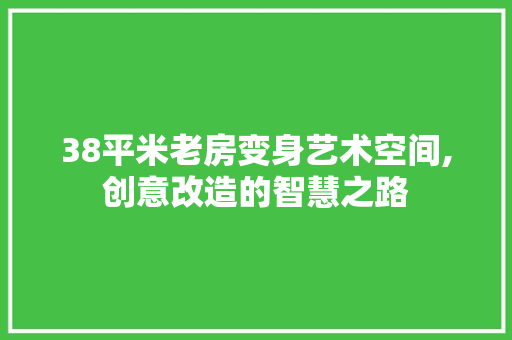 38平米老房变身艺术空间,创意改造的智慧之路