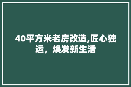 40平方米老房改造,匠心独运，焕发新生活