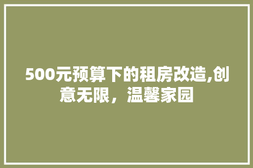 500元预算下的租房改造,创意无限，温馨家园