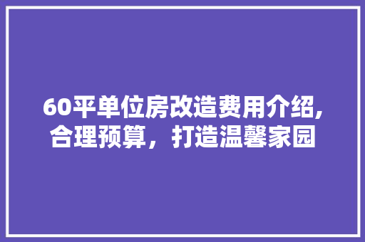 60平单位房改造费用介绍,合理预算，打造温馨家园