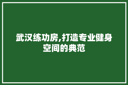 武汉练功房,打造专业健身空间的典范
