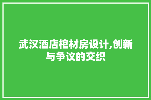 武汉酒店棺材房设计,创新与争议的交织