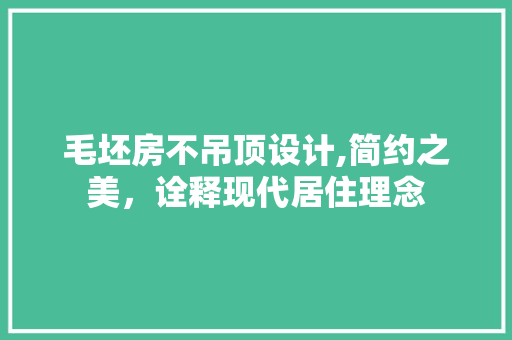 毛坯房不吊顶设计,简约之美，诠释现代居住理念
