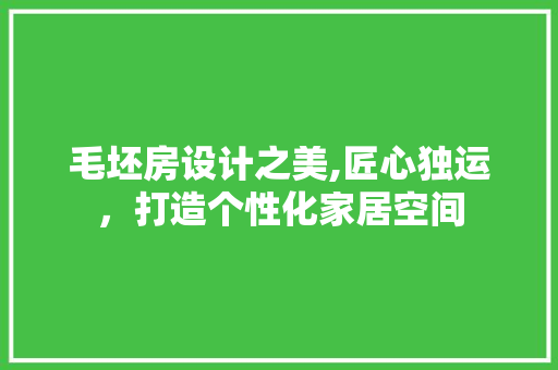 毛坯房设计之美,匠心独运，打造个性化家居空间