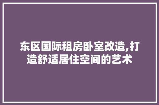 东区国际租房卧室改造,打造舒适居住空间的艺术