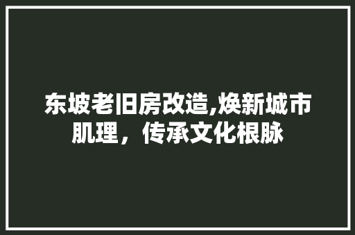 东坡老旧房改造,焕新城市肌理，传承文化根脉