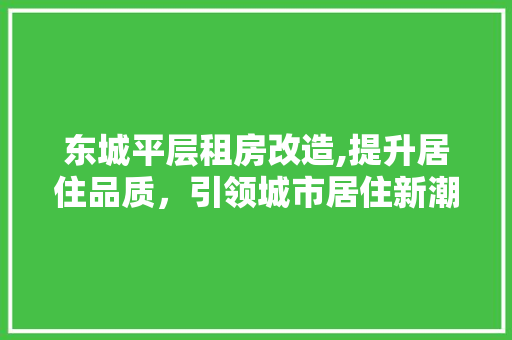 东城平层租房改造,提升居住品质，引领城市居住新潮流