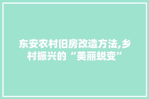 东安农村旧房改造方法,乡村振兴的“美丽蜕变”