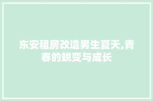 东安租房改造男生夏天,青春的蜕变与成长