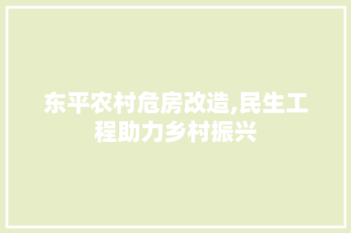 东平农村危房改造,民生工程助力乡村振兴
