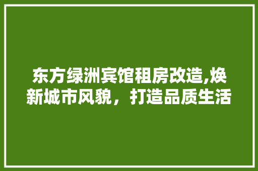 东方绿洲宾馆租房改造,焕新城市风貌，打造品质生活空间