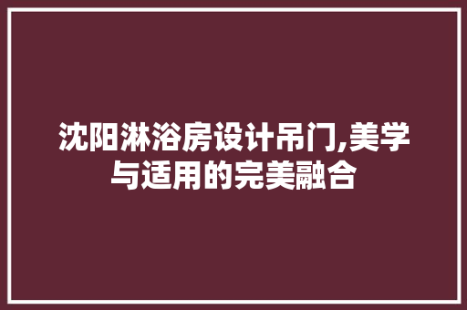 沈阳淋浴房设计吊门,美学与适用的完美融合