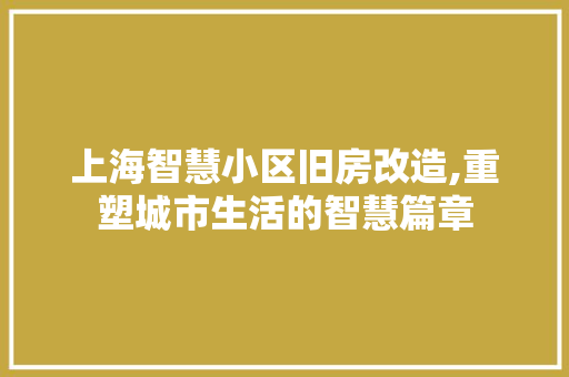 上海智慧小区旧房改造,重塑城市生活的智慧篇章