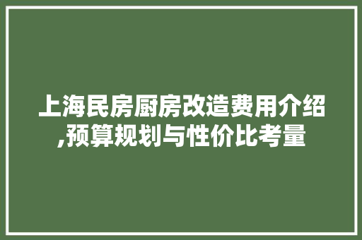 上海民房厨房改造费用介绍,预算规划与性价比考量