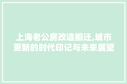 上海老公房改造搬迁,城市更新的时代印记与未来展望