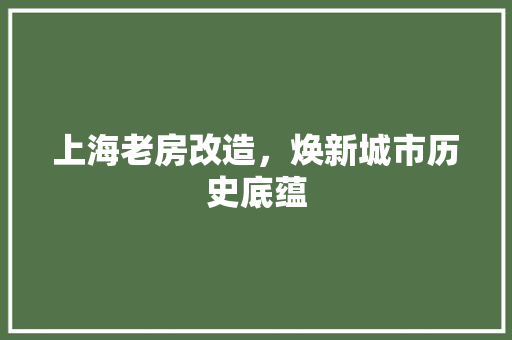 上海老房改造，焕新城市历史底蕴