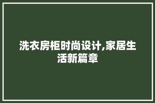 洗衣房柜时尚设计,家居生活新篇章