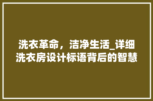 洗衣革命，洁净生活_详细洗衣房设计标语背后的智慧