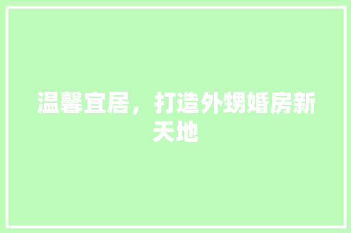 温馨宜居，打造外甥婚房新天地