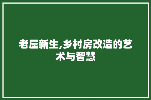 老屋新生,乡村房改造的艺术与智慧