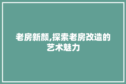 老房新颜,探索老房改造的艺术魅力