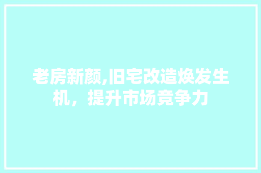 老房新颜,旧宅改造焕发生机，提升市场竞争力