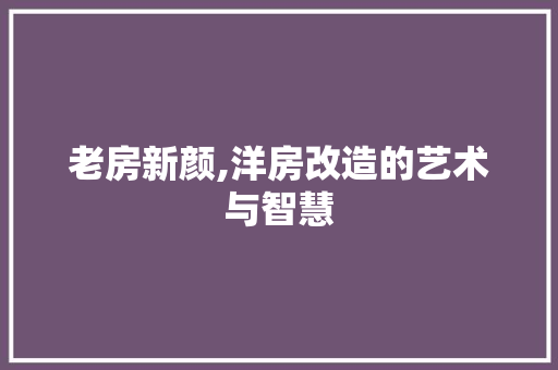 老房新颜,洋房改造的艺术与智慧