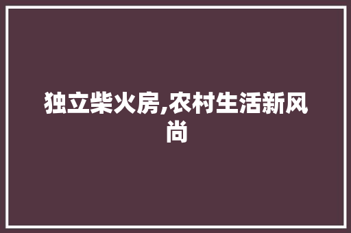 独立柴火房,农村生活新风尚