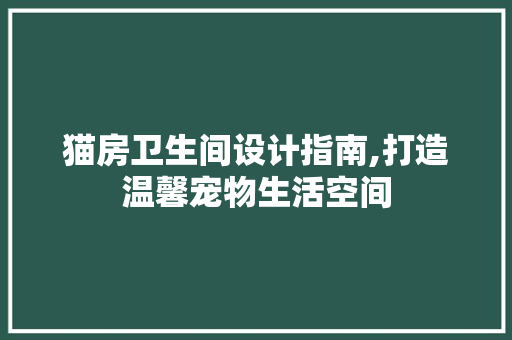 猫房卫生间设计指南,打造温馨宠物生活空间