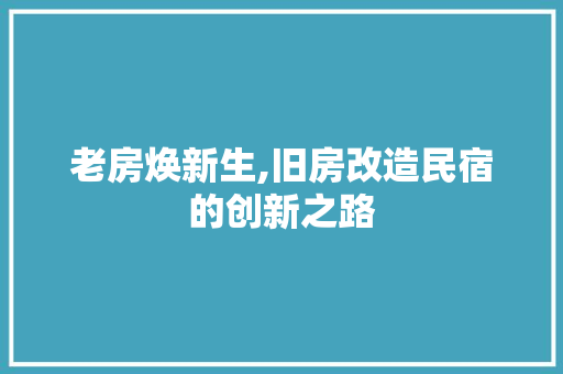 老房焕新生,旧房改造民宿的创新之路