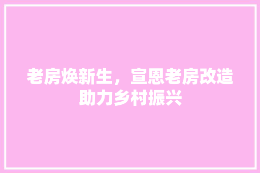 老房焕新生，宣恩老房改造助力乡村振兴
