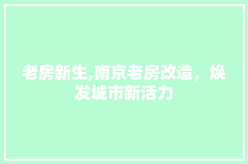 老房新生,南京老房改造，焕发城市新活力