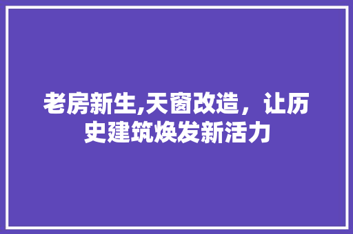 老房新生,天窗改造，让历史建筑焕发新活力