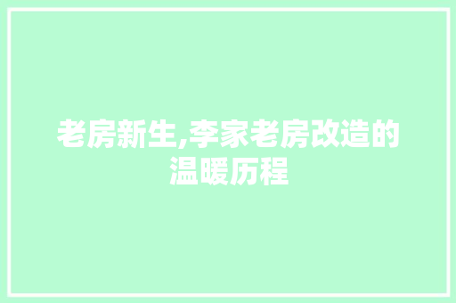 老房新生,李家老房改造的温暖历程
