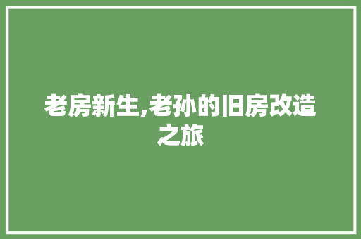 老房新生,老孙的旧房改造之旅